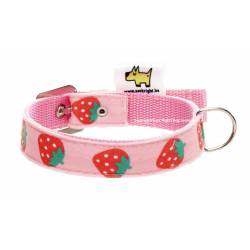 Strawberry collar